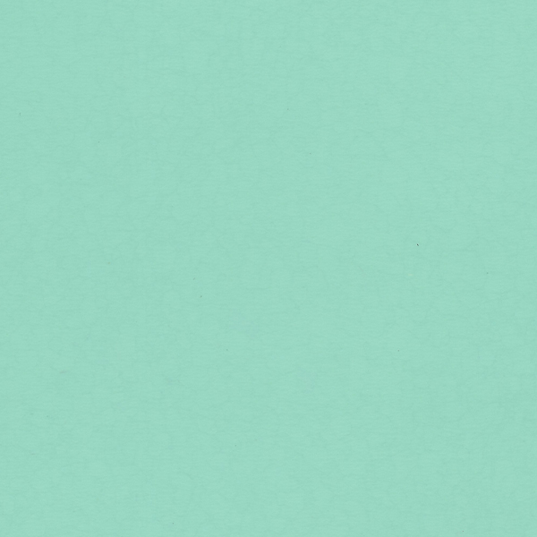 Spruce Green